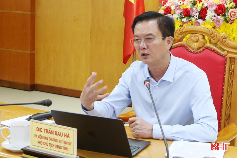 Phó Chủ tịch UBND tỉnh Trần Báu Hà phát biểu tại cuộc họp. 4B.jpg