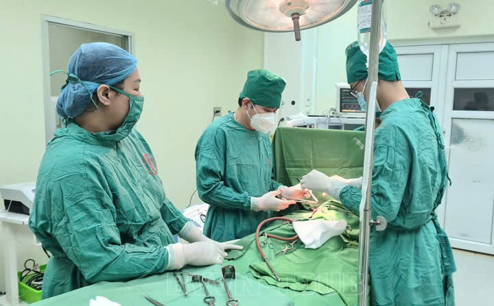 Många vårdinrättningar behåller fortfarande ledningsmodellen under hälsoministeriet, vissa slås samman eller överförs... Nhiều cơ sở y tế vẫn giữ nguyên mô hình quản lý trực thuộc Bộ Y tế, một số sáp nhập hoặc chuyển giao...