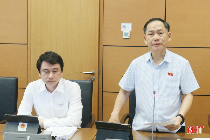 Phó Trưởng đoàn chuyên trách Đoàn ĐBQH tỉnh Trần Đình Gia đề nghị quy định cụ thể thẩm quyền bổ nhiệm, miễn nhiệm phó tổng giám đốc hoặc phó giám đốc công ty trách nhiệm hữu hạn một thành viên do Nhà nước nắm giữ 100% vốn điều lệ. bqbht_br_2trandinhgiachieu105.jpg