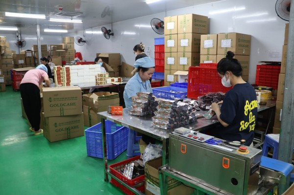Khu vực đóng gói sản phẩm của Công ty Gold Care tại Hưng Yên. Khu vực đóng gói sản phẩm của Công ty Gold Care tại Hưng Yên.