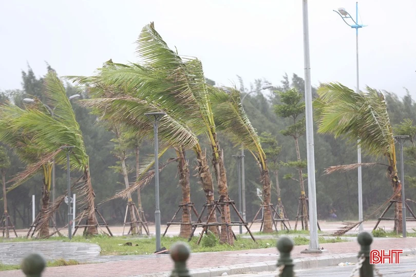 Không có tiêu đề.jpg