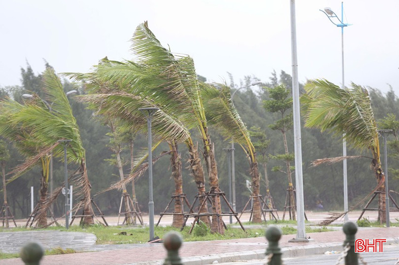 Không có tiêu đề.jpg