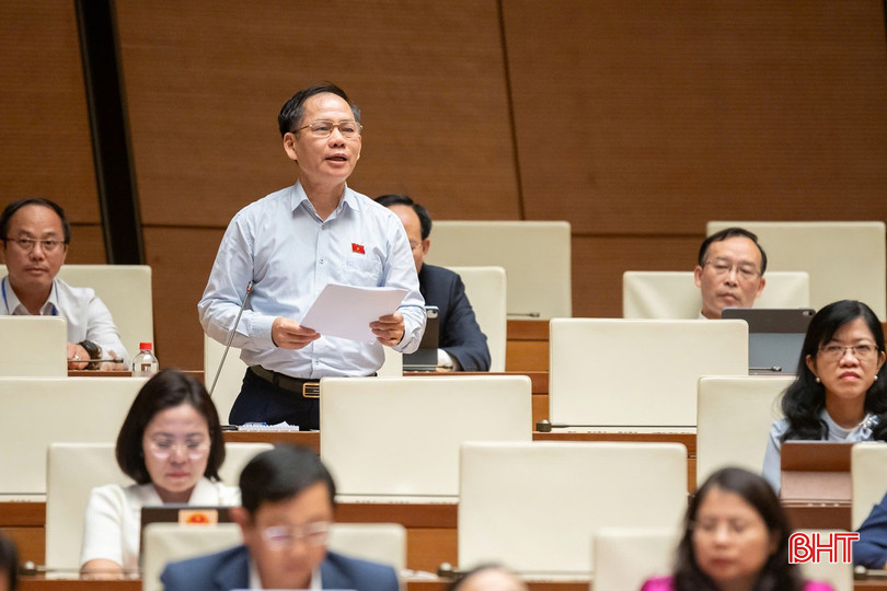 Phó Trưởng đoàn phụ trách Đoàn ĐBQH tỉnh Trần Đình Gia phát biểu thảo luận. bqbht_br_chieu291trandinhgia.jpg