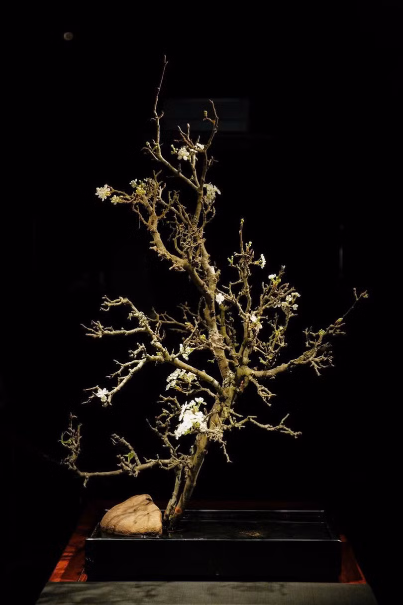 Một tác phẩm tại triển lãm - Ảnh: BTC