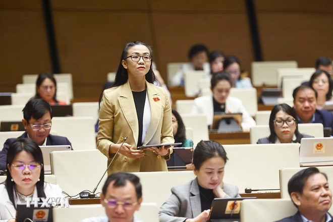 Đại biểu Quốc hội tỉnh Lâm Đồng Trịnh Thị Tú Anh phát biểu. (Ảnh: Doãn Tấn/TTXVN)