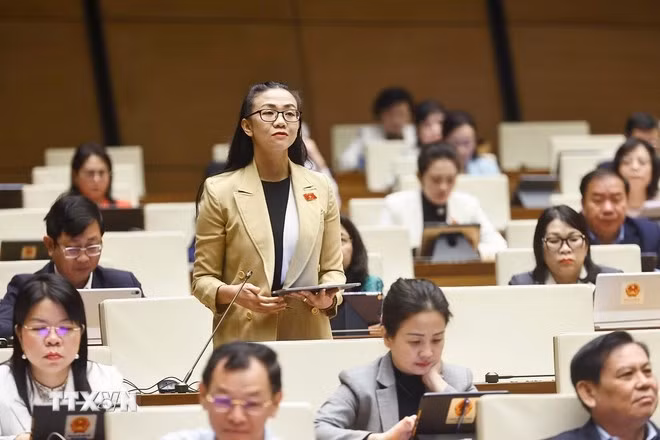 Đại biểu Quốc hội tỉnh Lâm Đồng Trịnh Thị Tú Anh phát biểu. (Ảnh: Doãn Tấn/TTXVN)