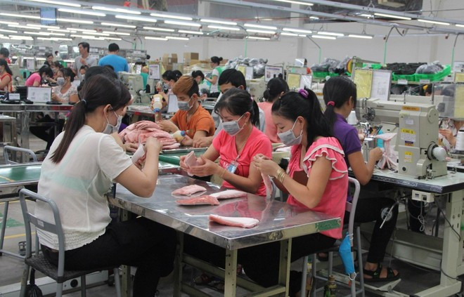 Ba nhóm ngành hàng chủ lực đang chiếm tỷ trọng áp đảo, bao gồm máy vi tính, sản phẩm điện tử và linh kiện đạt 23,2 tỷ USD, chiếm 19,4% tổng kim ngạch. Máy móc, thiết bị, dụng cụ, phụ tùng đạt 22 tỷ USD, chiếm 18,5%. Hàng dệt may đạt 16,2 tỷ USD, chiếm 13,5%. (Ảnh: Vietnam+) Ba nhóm ngành hàng chủ lực đang chiếm tỷ trọng áp đảo, bao gồm máy vi tính, sản phẩm điện tử và linh kiện đạt 23,2 tỷ USD, chiếm 19,4% tổng kim ngạch. Máy móc, thiết bị, dụng cụ, phụ tùng đạt 22 tỷ USD, chiếm 18,5%. Hàng dệt may đạt 16,2 tỷ USD, chiếm 13,5%. (Ảnh: Vietnam+)