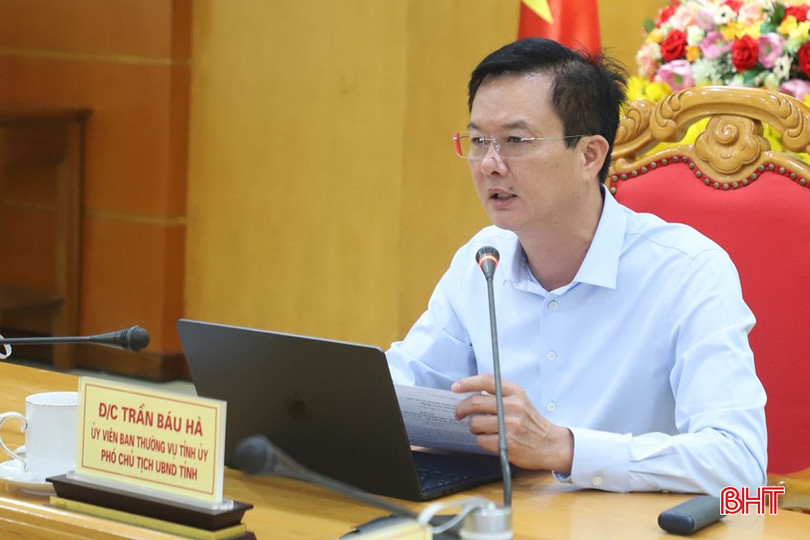 Phó Chủ tịch UBND tỉnh Trần Báu Hà kết luận buổi làm việc. 411.JPG