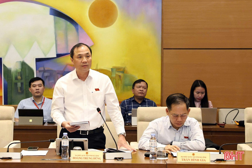 Đại biểu Hoàng Trung Dũng phát biểu thảo luận. bqbht_br_chieu23anh2hoangtrungdung.jpg