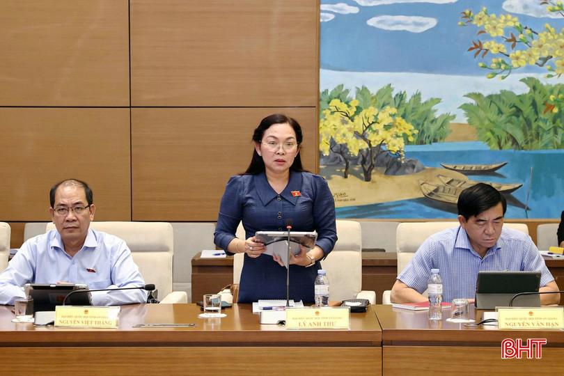 Đại biểu Lý Anh Thư (Đoàn ĐBQH tỉnh An Giang) phát biểu thảo luận. bqbht_br_chieu23anh4lyanhthu.jpg