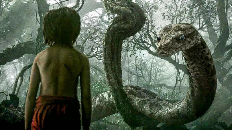 Trong The Jungle Book, Kaa - con trăn là loài vật săn mồi chết người với khả năng thôi miên và lừa dối Mowgli Trong The Jungle Book, Kaa - con trăn là loài vật săn mồi chết người với khả năng thôi miên và lừa dối Mowgli