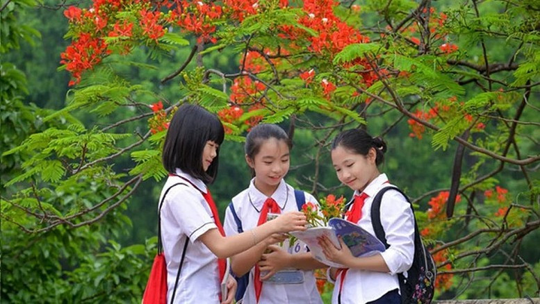 Tạo môi trường để các em học sinh được vui chơi lành mạnh; rèn luyện kỹ năng sống, tham gia các hoạt động ngoại ngữ, văn hóa, nghệ thuật, thể dục thể thao, phát triển thể chất. Tạo môi trường để các em học sinh được vui chơi lành mạnh; rèn luyện kỹ năng sống, tham gia các hoạt động ngoại ngữ, văn hóa, nghệ thuật, thể dục thể thao, phát triển thể chất.