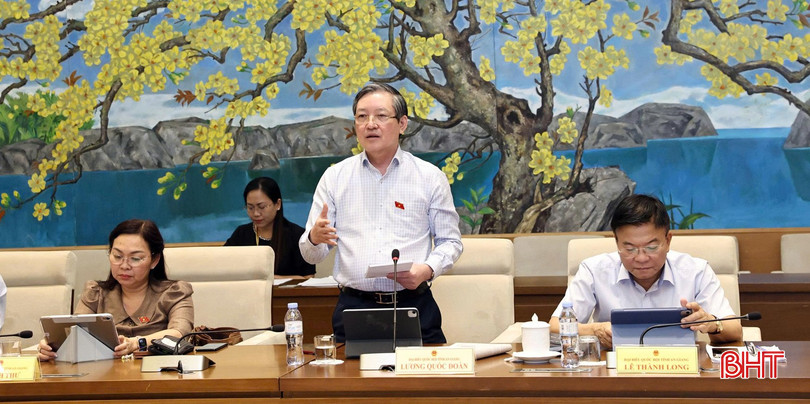ĐBQH Lương Quốc Đoàn (đoàn ĐBQH tỉnh An Giang) phát biểu thảo luận. bqbht_br_chieu22anh3luongquocdoan.jpg