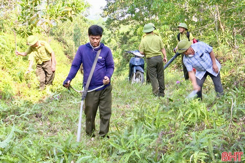 Thời gian qua, lực lượng kiểm lâm địa bàn phối hợp với các chủ rừng đã tổ chức nhiều đợt phát dọn thực bì, làm đường băng cản lửa. 06.jpg