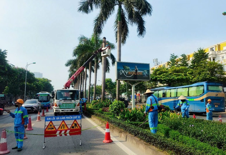 Các đơn vị duy trì cây xanh trên địa bàn thành phố Hà Nội đồng loạt ra quân chỉnh trang đô thị Các đơn vị duy trì cây xanh trên địa bàn thành phố Hà Nội đồng loạt ra quân chỉnh trang đô thị