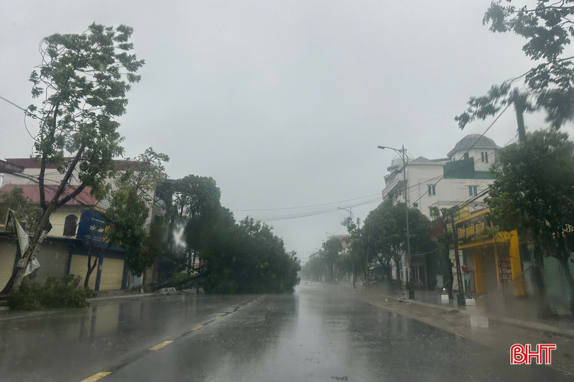 Cây đổ chắn hơn nửa phần đường Vũ Quang bqbht_br_4c9b4c92553bdd65842a.jpg