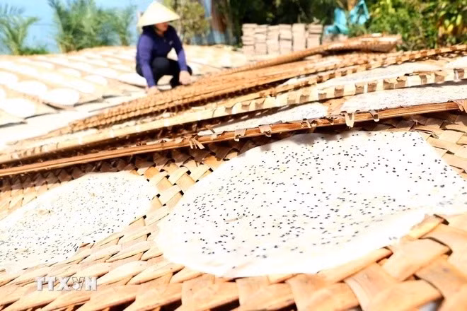 Các loại bánh tráng có thế mạnh ở Thuận Hưng là bánh tráng giòn, bánh tráng dừa, bánh tráng ngọt, bánh tráng ruốc,... Ảnh: Thu Hiền/TTXVN.