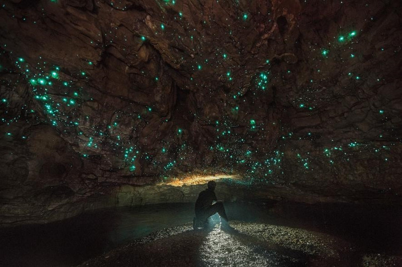 Hang động Waitomo, New Zealand: Những “ngôi sao” màu xanh lấp lánh huyền ảo thắp sáng hang động Waitomo hay còn được biết với cái tên hang động đom đóm chính là nét đặc trưng riêng của nơi đây. Từ những năm 1880, địa danh này đã trở nên nổi tiếng và thu hút rất nhiều khách du lịch đến tham quan. nhung diem den dep nhu thien duong ha gioi
