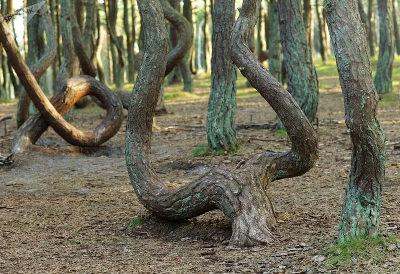 cac dia diem du lich phai den o nga