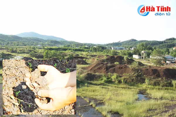 can canh hoang tan nha may tuyen quang sat gan 160 ty dong