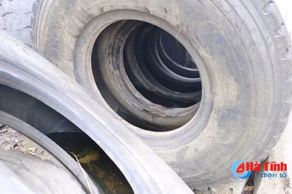 dich sot xuat huyet o ky long nguy co lan rong