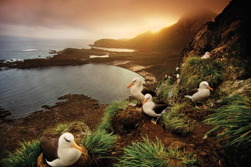 Biển Weddell, Antarctica: Đến thăm biển Weddell - nơi tận cùng của thế giới - đòi hỏi ta phải có một sức khỏe dẻo dai. Đa số du khách sẽ đi bằng tàu biển từ mũi Nam Mỹ, băng qua eo biển khét tiếng Drake. Đổi lại, bạn sẽ có được một trải nghiệm duy nhất trong đời, ngắm nhìn sự tĩnh mịch của biển, chứng kiến tận mắt những tảng băng to, hay cuộc sống hoang dã chưa từng bị tác động bởi bên ngoài ở một trong những nơi tận cùng Trái Đất - phía Nam đảo Georgia. nhung diem den dep nhu thien duong ha gioi