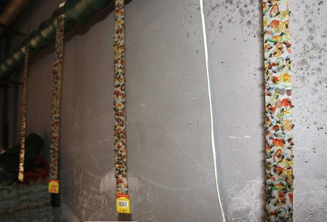 Hơn 10 chiếc bẫy ruồi treo lủng lẳng vẫn không ngăn nổi sự hấp dẫn từ gà chết đối với lũ ruồi.