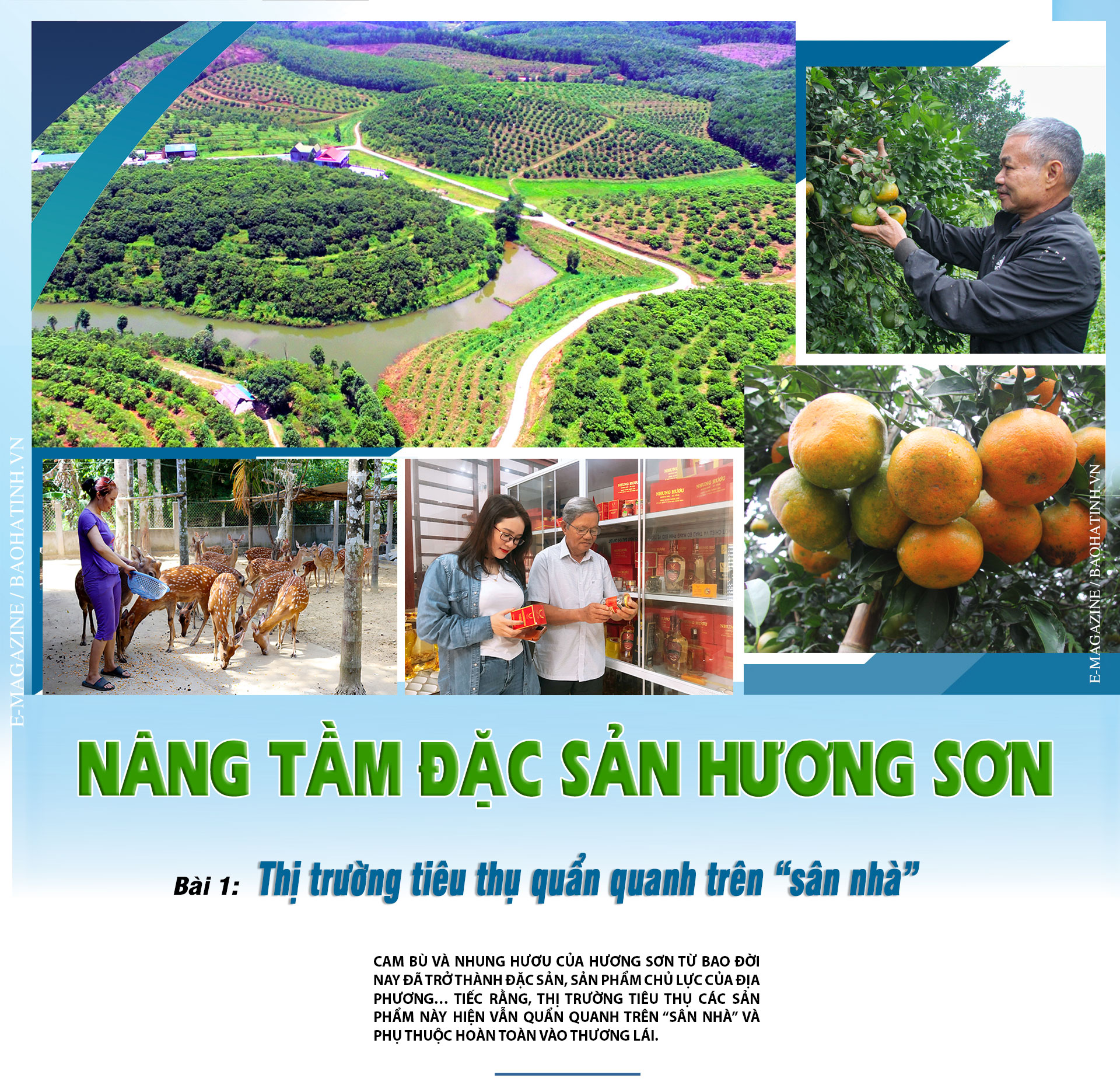 Khi cam bù, nhung hươu Hà Tĩnh vẫn quẩn quanh trên “sân nhà”! ảnh 1 Khi cam bù, nhung hươu Hà Tĩnh vẫn quẩn quanh trên “sân nhà”!