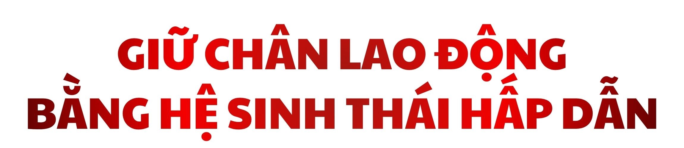 tit-phu-1.jpg