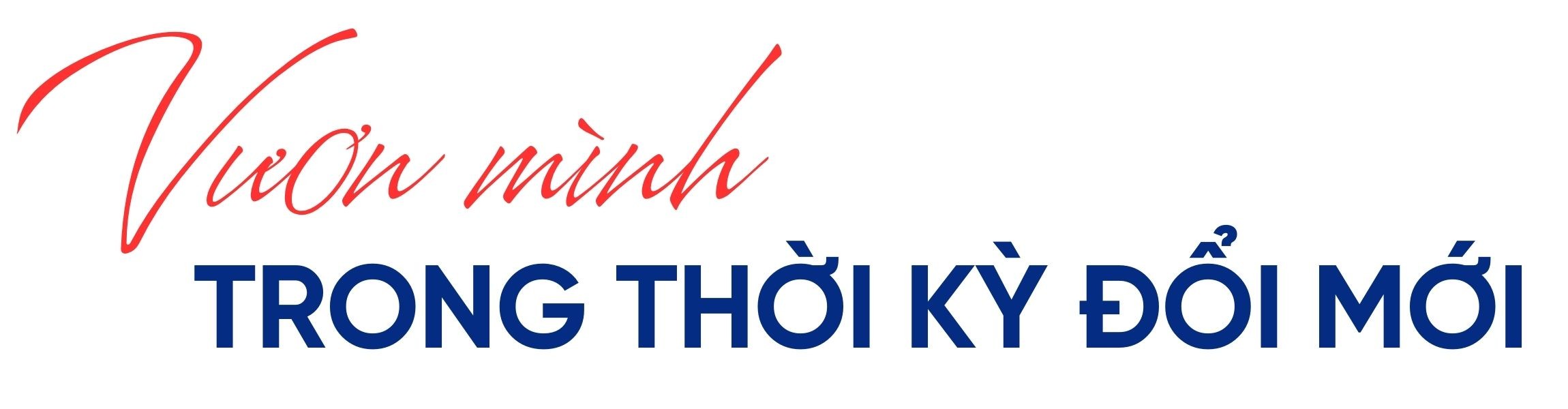 tit-phu-2.jpg