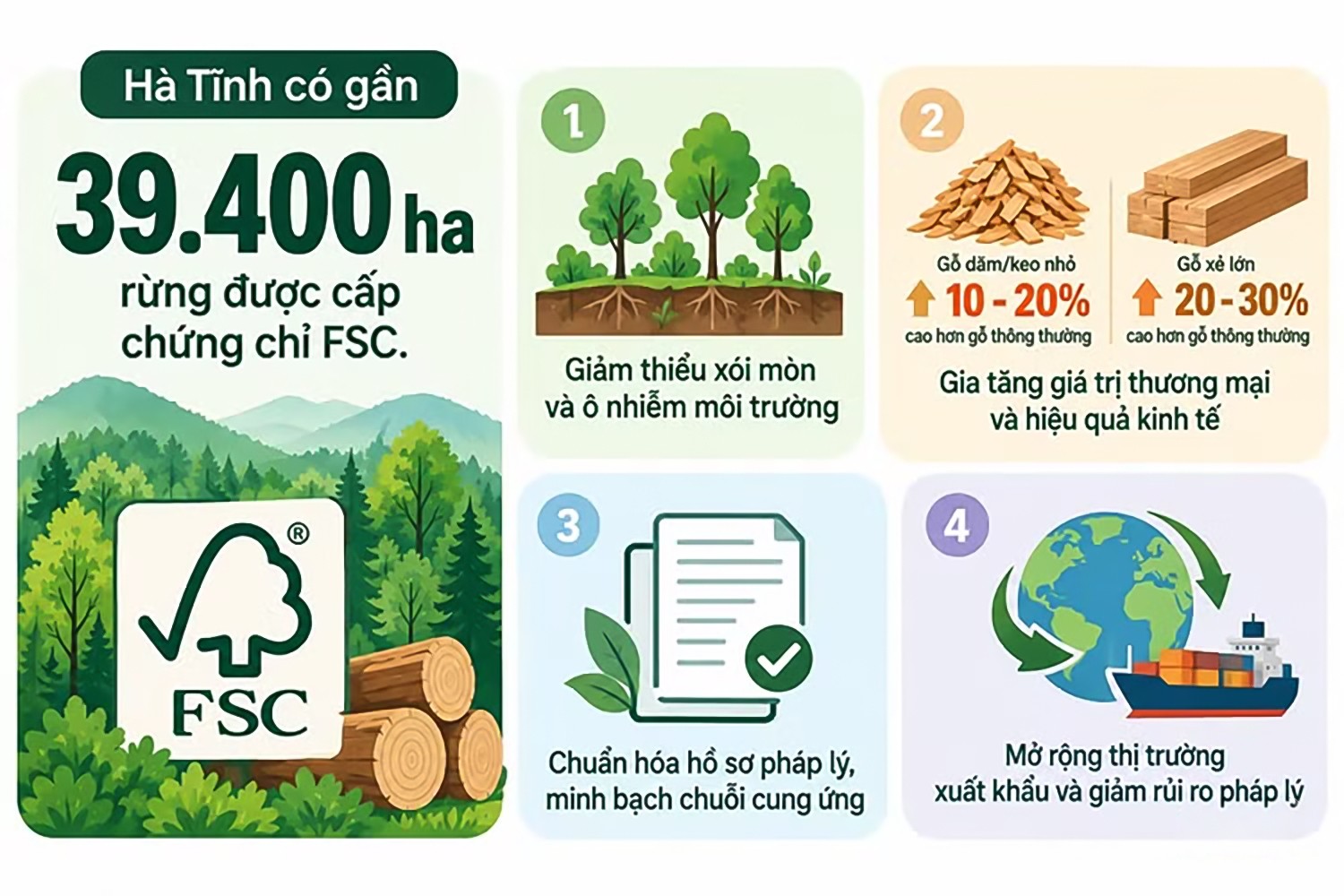infographic-rung-fsc-ha-tinh.jpg