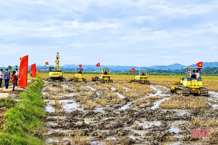 may-cay-giua-ruong-lua-viet-nam.jpg