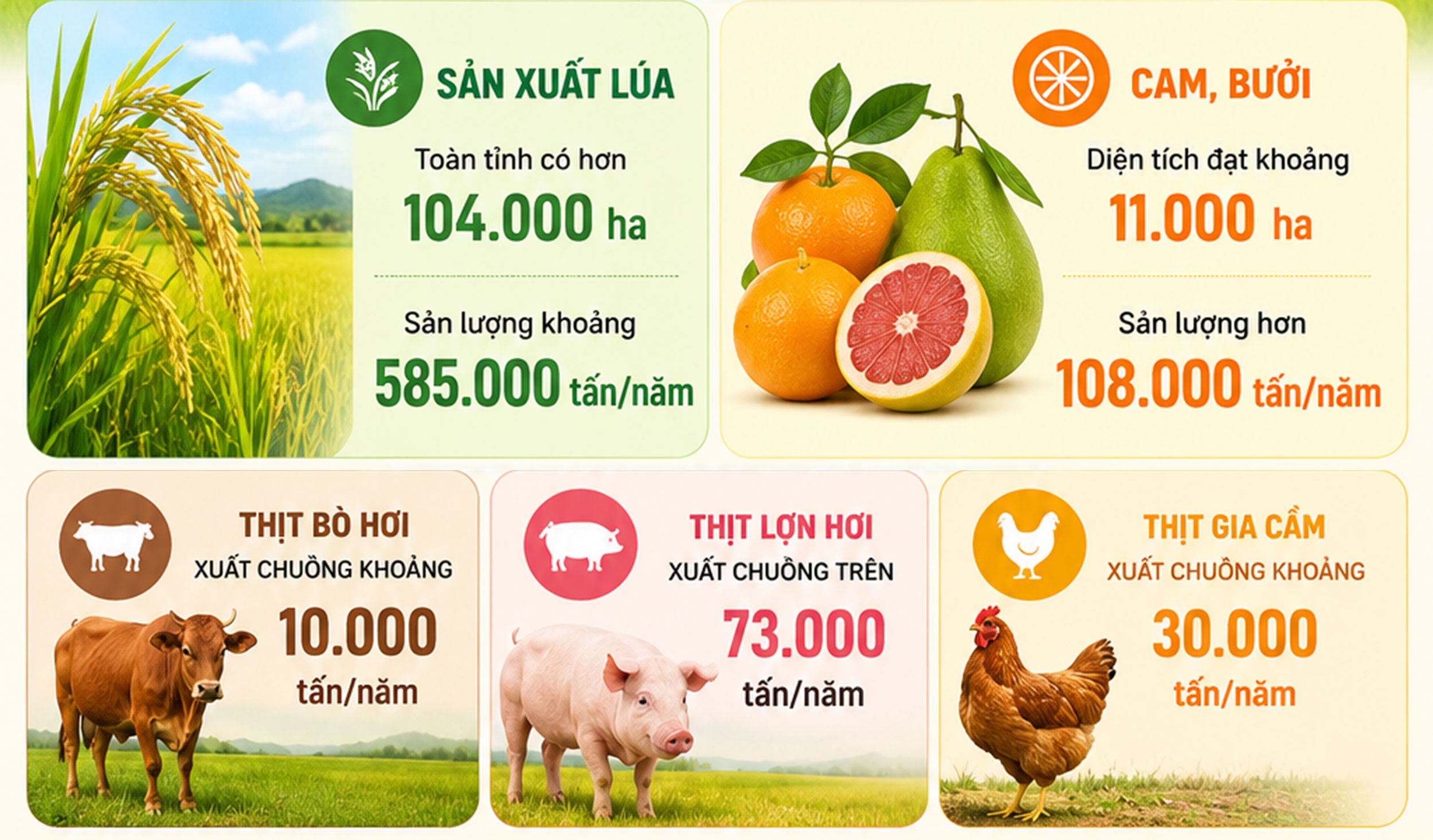 infographic-7877.jpg