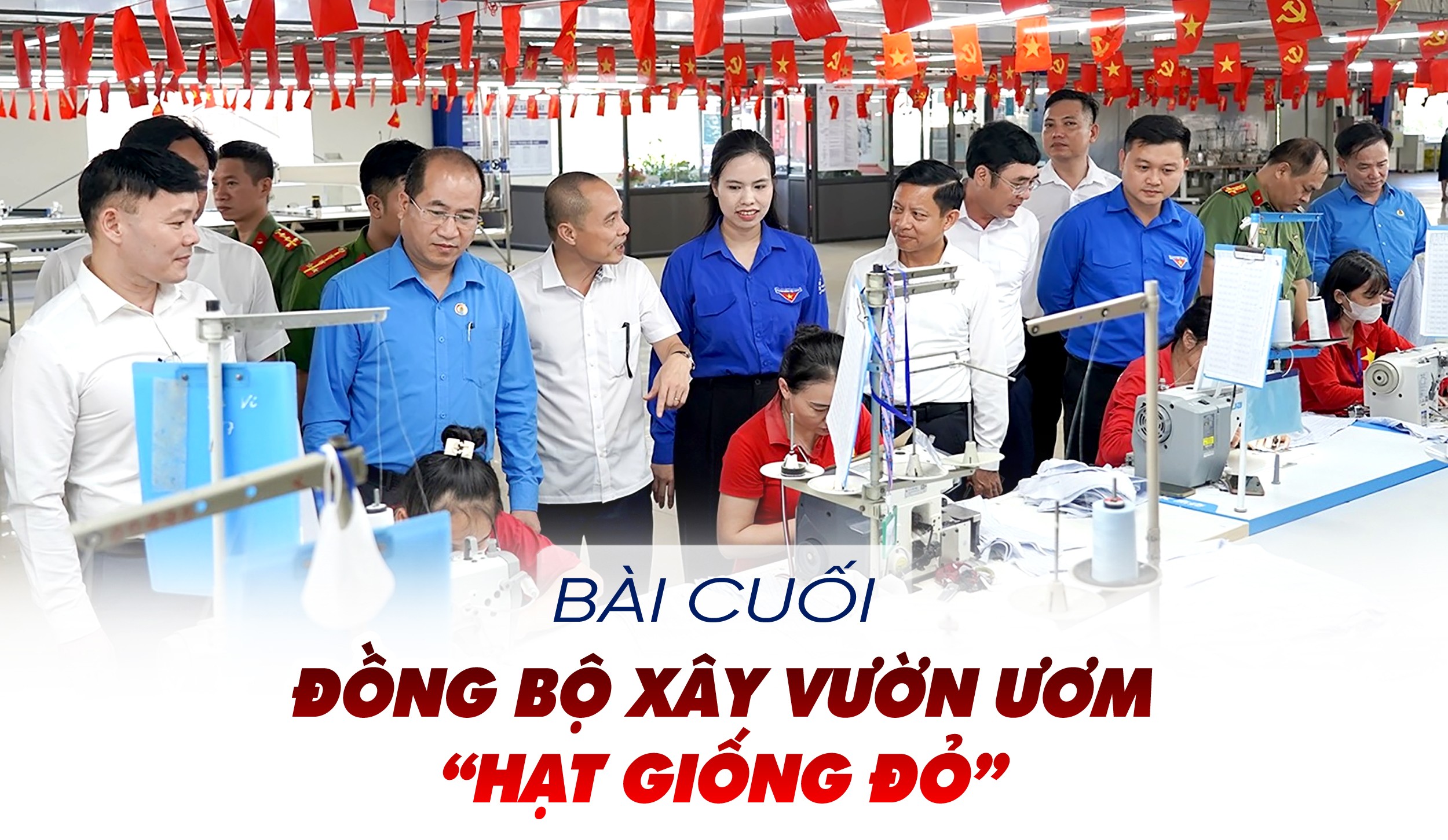 tit-bai-4.jpg