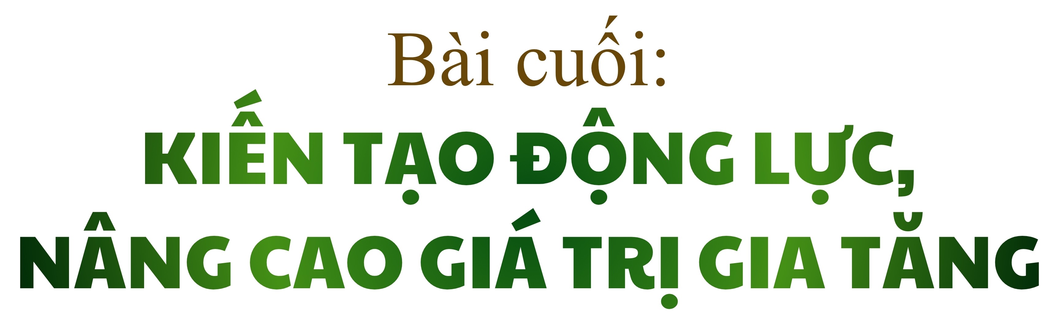 tit-bai.jpg