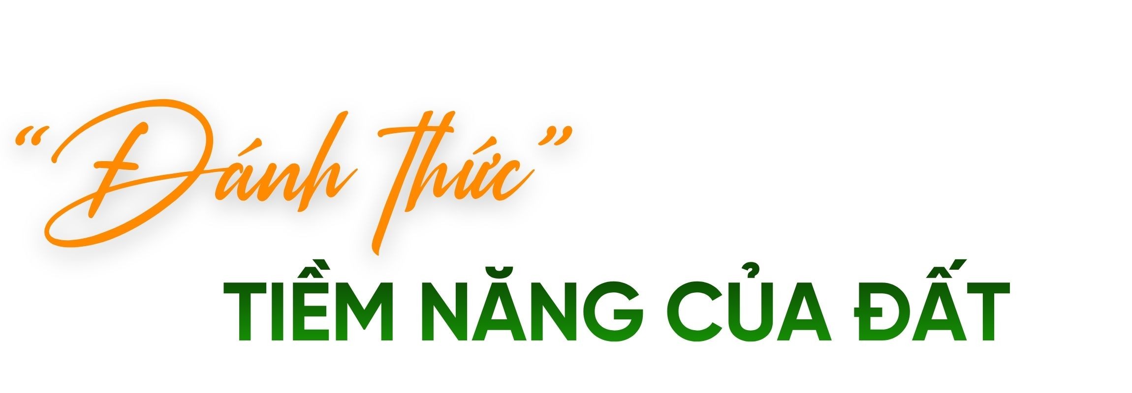 tit-phu-2.jpg
