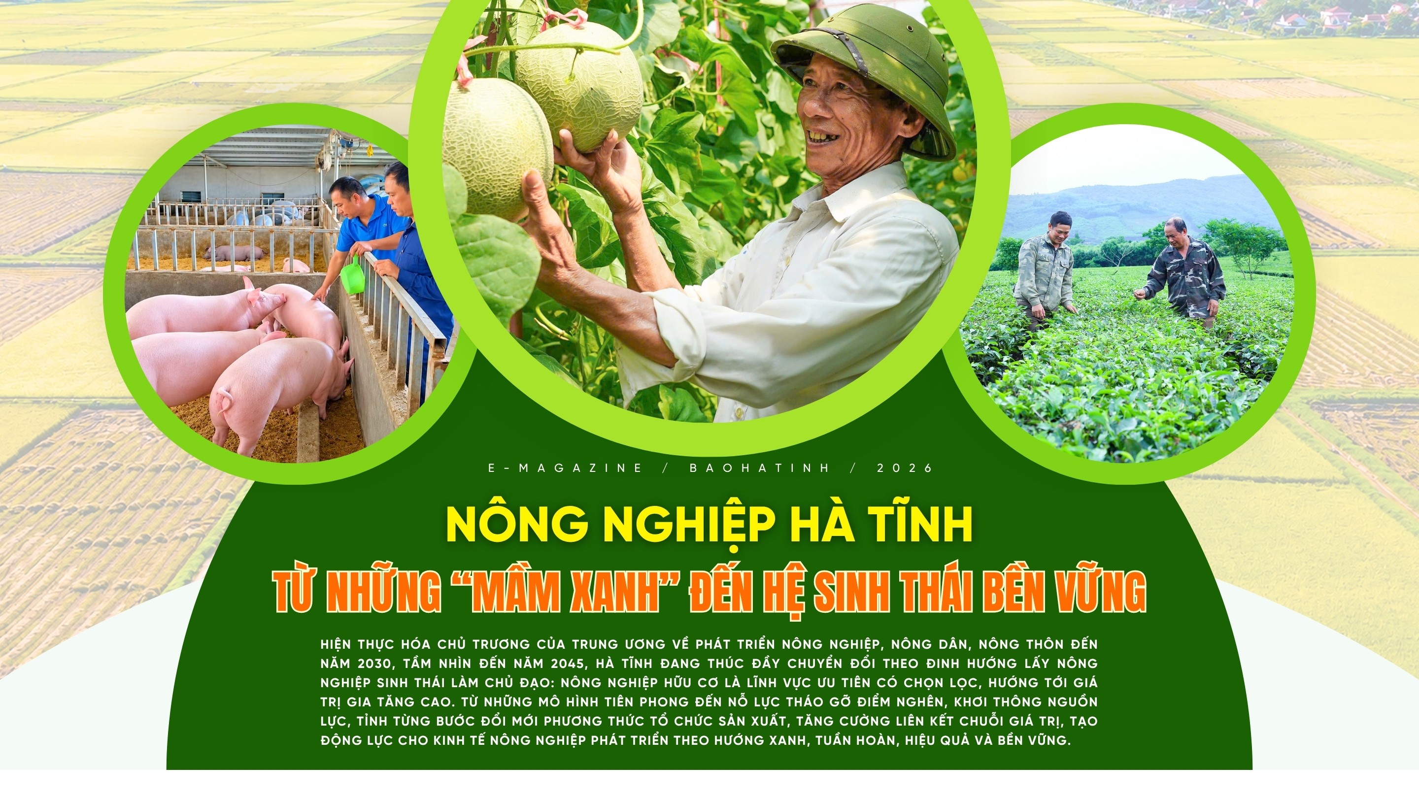 anh-cover-chuyen-de-nong-nghiep-7662.jpg