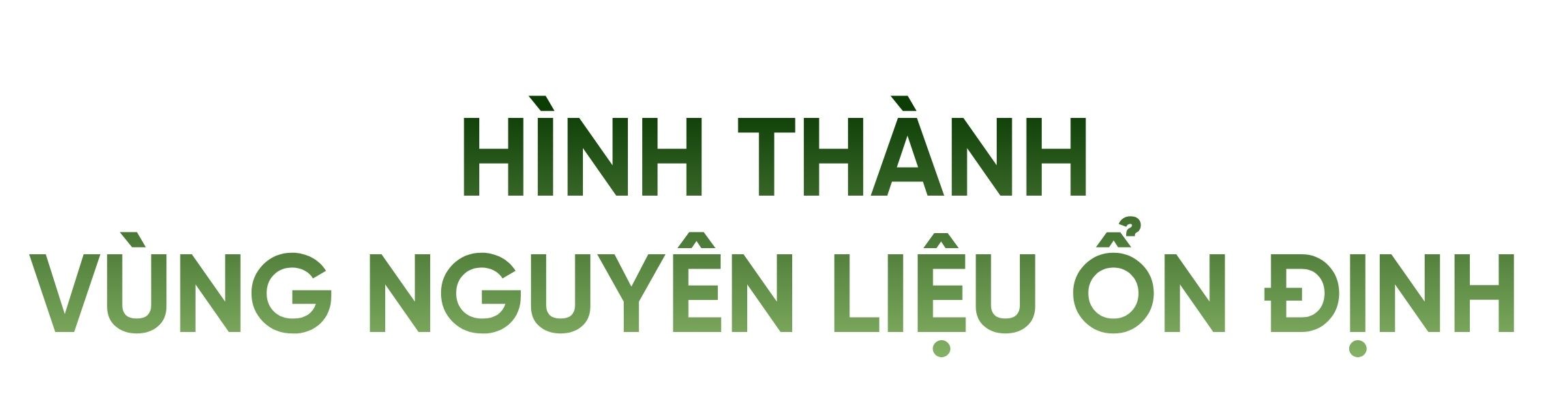 tit-phu-mb.jpg