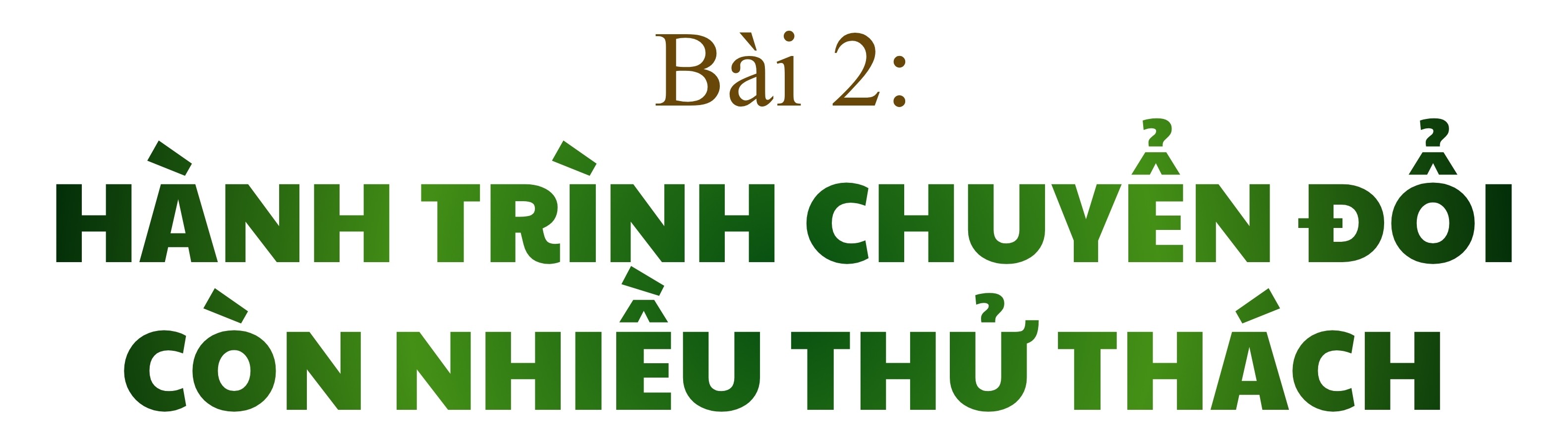 tit-bai-8544.jpg