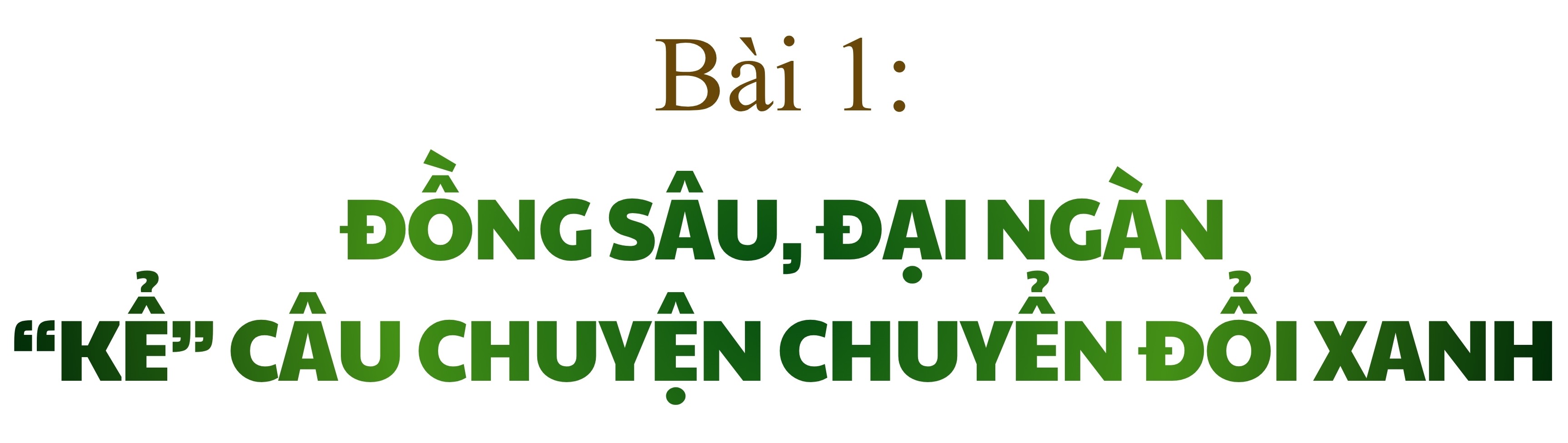 tit-bai.jpg