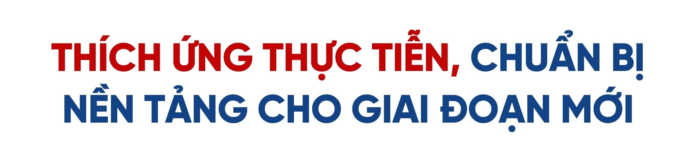 tit-phu-1-2000-x-1000-px-9262.jpg