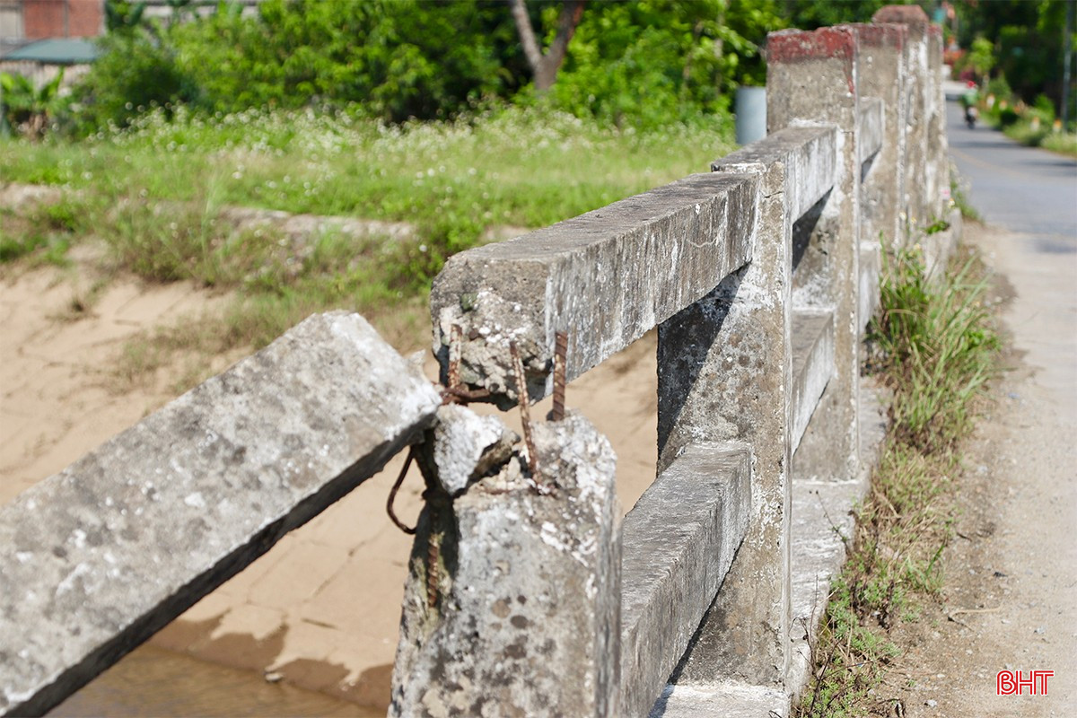 bqbht_br_img-5701-copy.jpg