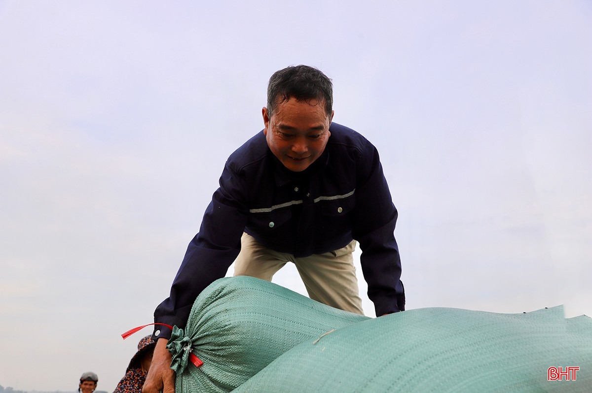 Ông Trần Văn Phương (xã Cẩm Vịnh, TP Hà Tĩnh) đang miệt mài chở lúa thuê cho bà con trong vùng. bqbht_br_img-2420-2-copy.jpg