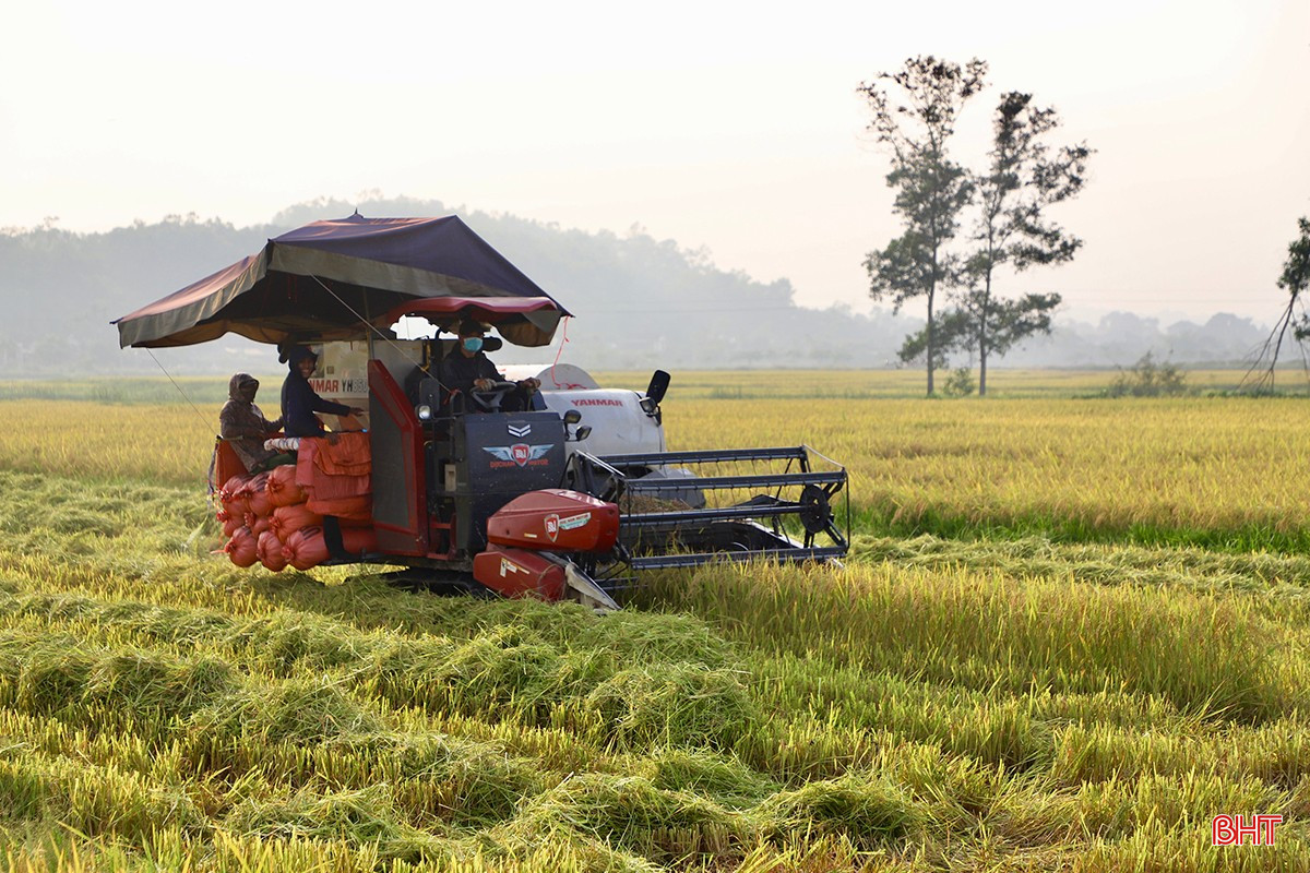 Hà Tĩnh đang "rộn ràng" vào mùa gặt. bqbht_br_img-2322-copy.jpg
