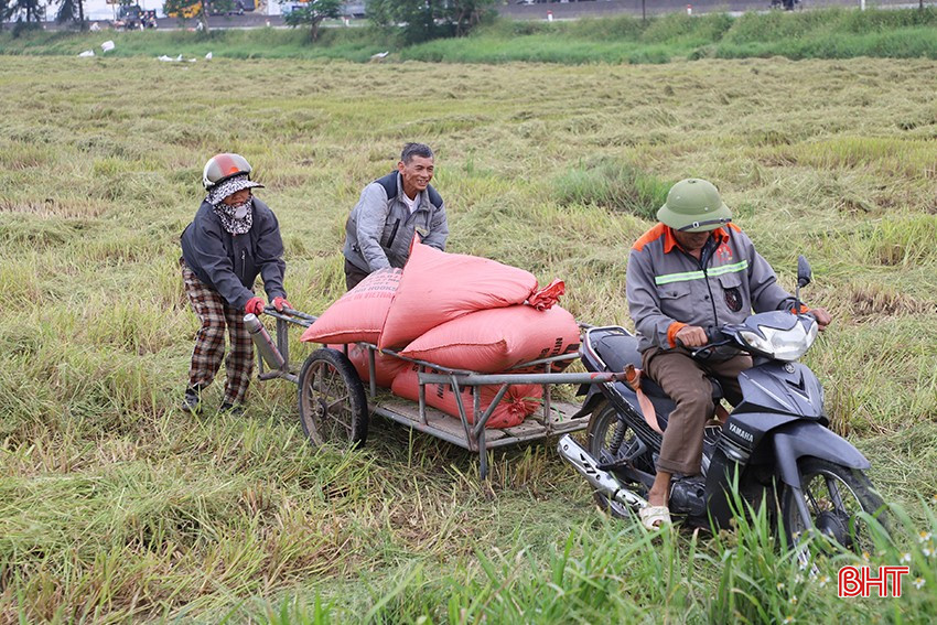 មកដល់ពេលនេះ ប្រជាពលរដ្ឋប្រមូលផលស្រូវរដូវប្រាំងបានជិត៥០%ហើយ។ bqbht_br_img-2399-copy.jpg
