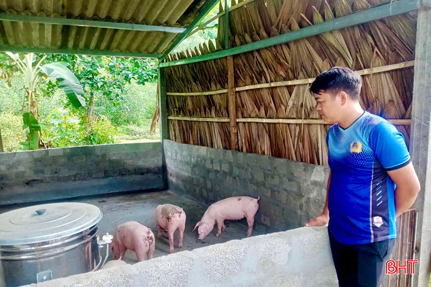 Ngoài trồng cam, anh Toàn còn chú trọng phát triển chăn nuôi để nâng cao thu nhập. bqbht_br_img-0353-copy.jpg