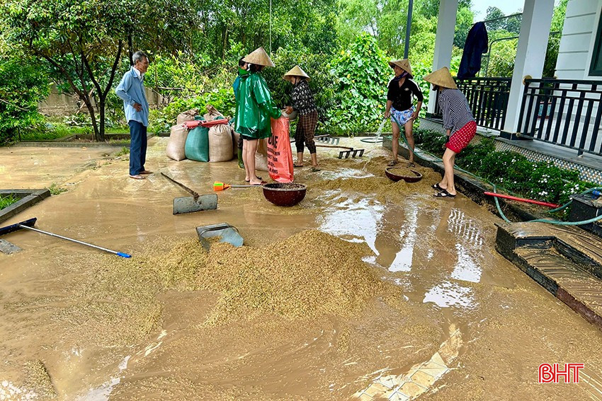 Người dân xã Cẩm Thịnh (Cẩm Xuyên) hỗ trợ nhau thu gom lúa đã thu hoạch bị ngâm trong nước lũ. bqbht_br_img-0253-copy.jpg
