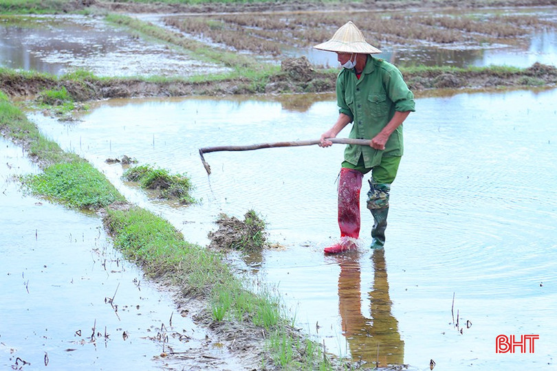 Bà con triển khai các khâu làm đất, chuẩn bị chu đáo cho vụ xuân 2025. bqbht_br_img-7168.jpg