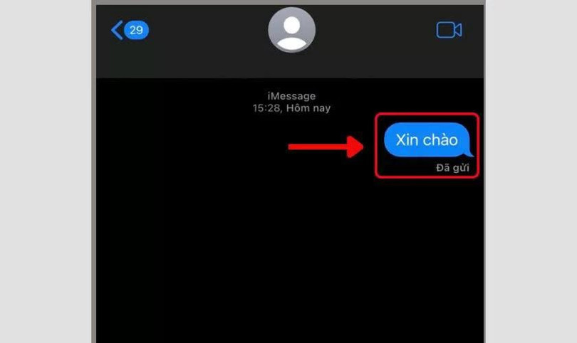 Nhấn và giữ vào tin nhắn iMessage muốn thu hồi.