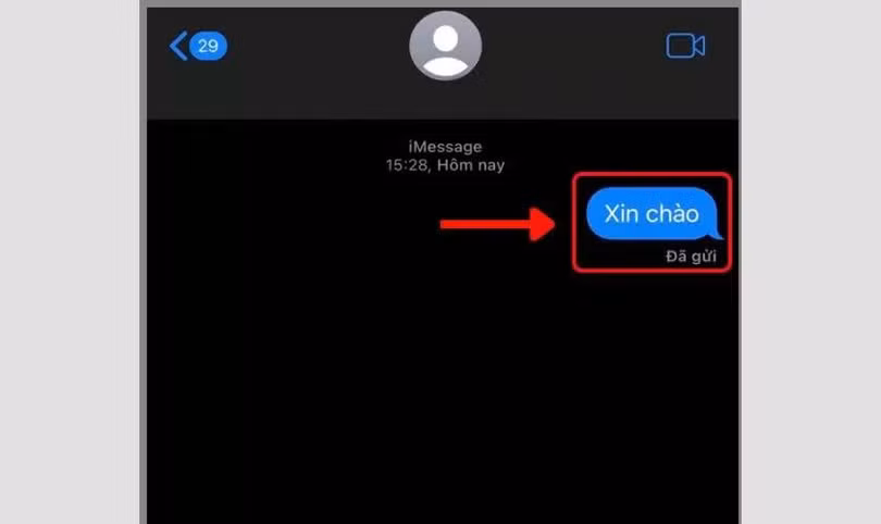 Nhấn và giữ vào tin nhắn iMessage muốn thu hồi.